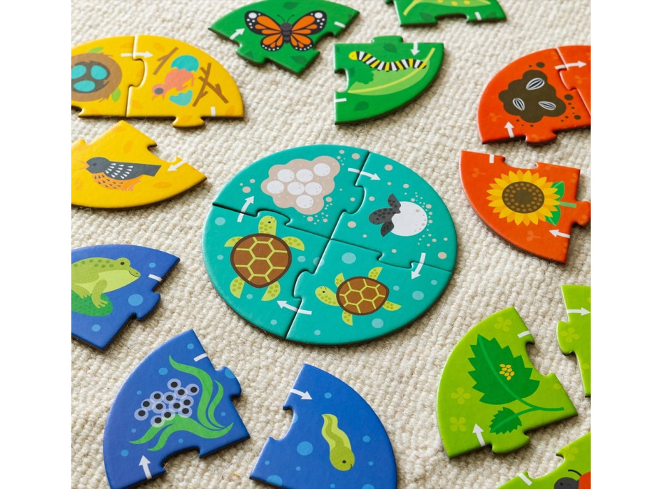 Petit Collage Puzzle pre objaviteľov Kolobeh života