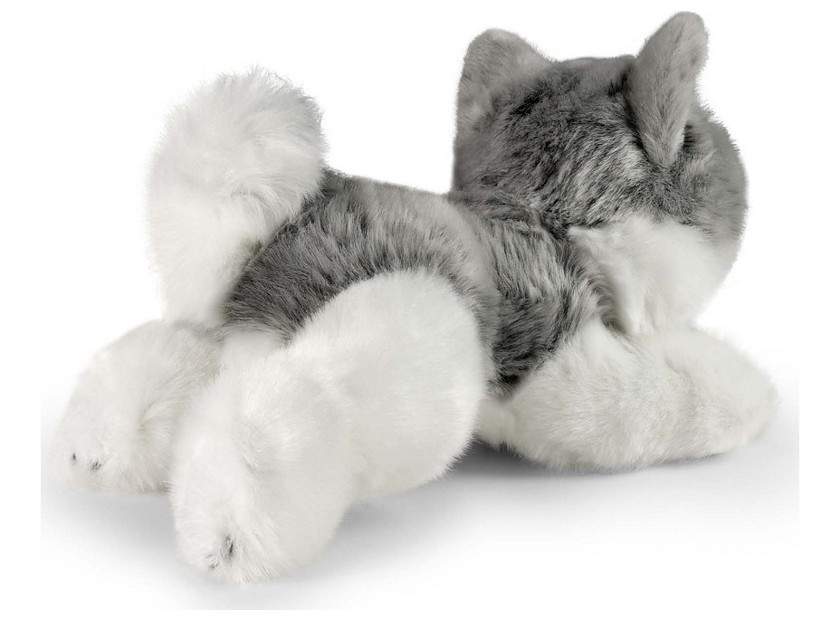 Rappa Plyšový pes husky ležiaci 20 cm ECO-FRIENDLY