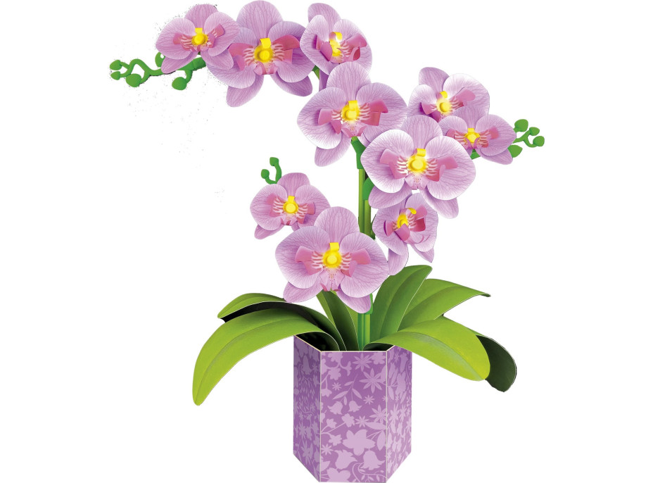 EDUCA 3D puzzle Floral Art - Orchidea