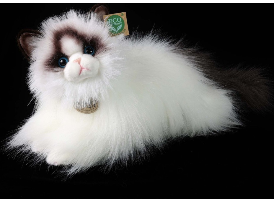 Rappa Plyšová mačka ragdoll ležiaca 35 cm ECO-FRIENDLY
