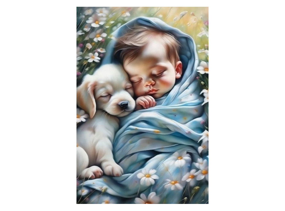 NORIMPEX Diamantové maľovanie Bábätko so šteniatkom 30x40cm