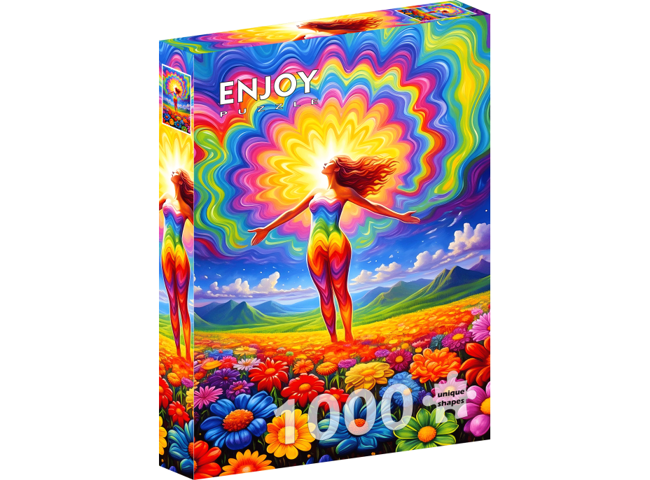 ENJOY Puzzle Rovnováha energií 1000 dielikov