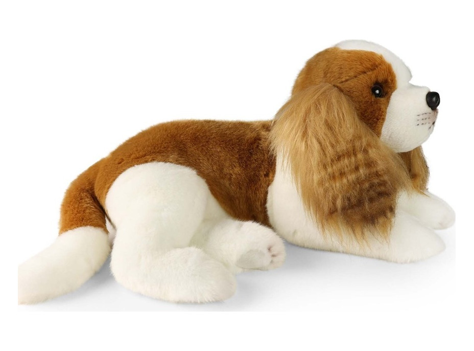 Rappa Plyšový pes gavalier King Charles španiel 40 cm ECO-FRIENDLY