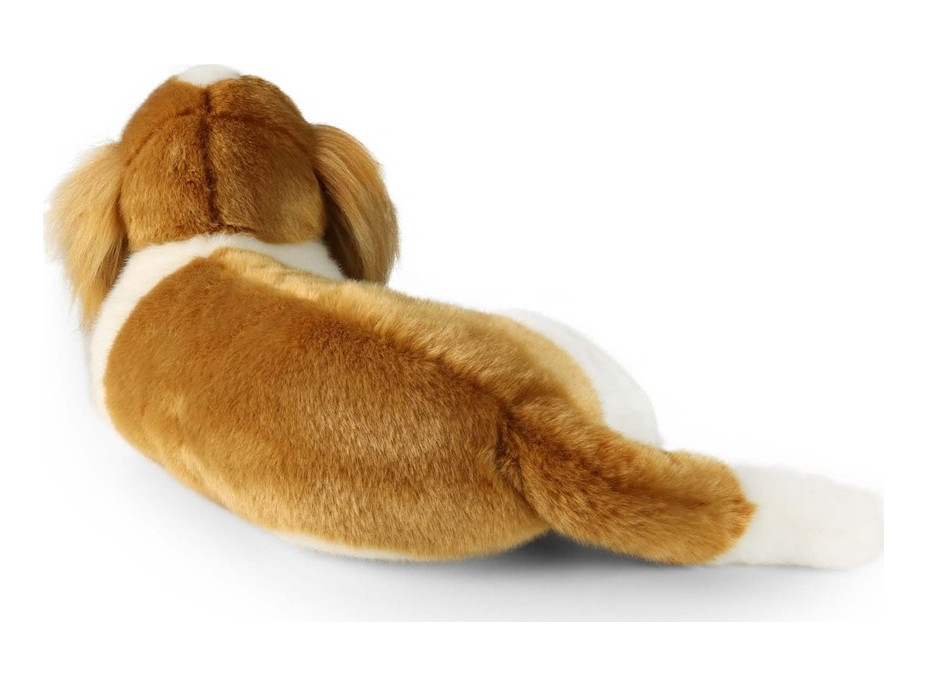 Rappa Plyšový pes gavalier King Charles španiel 40 cm ECO-FRIENDLY