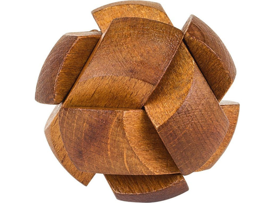 PROFESOR PUZZLE Great Minds: Slávni muži 8v1