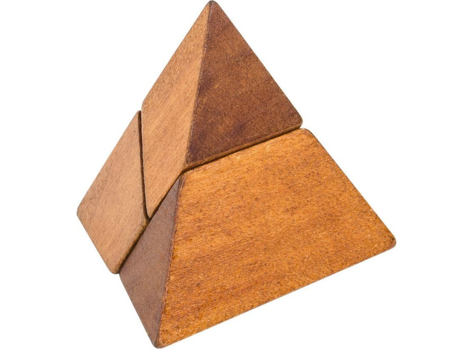 PROFESOR PUZZLE Great Minds: Slávni muži 8v1