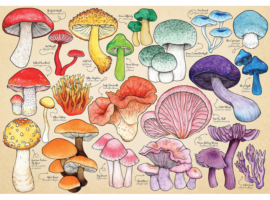 HOP Puzzle Hubová mánia 1000 dielikov