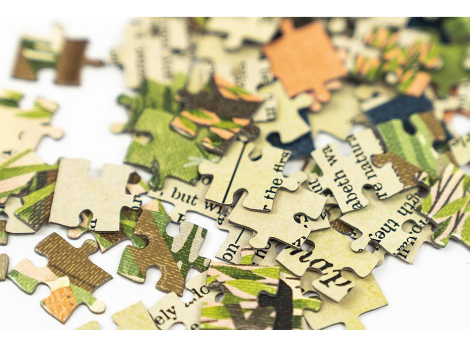 PROFESOR PUZZLE Puzzle Pýcha a predsudok 252 dielikov
