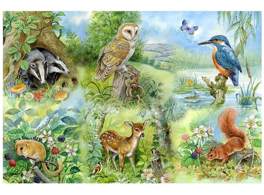 HOP Puzzle Štúdium prírody BIG 250 dielikov
