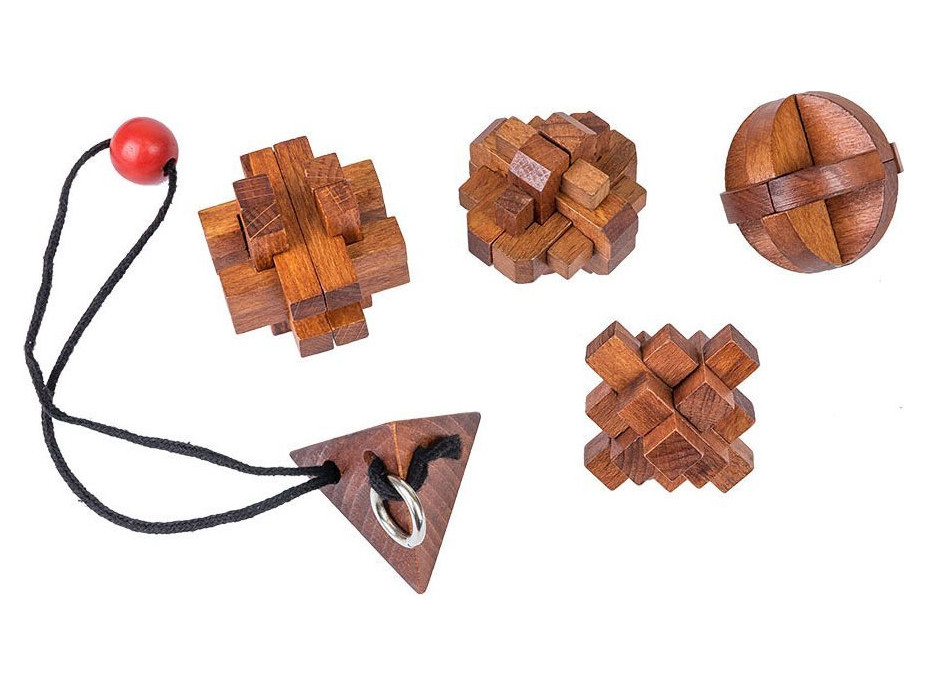 PROFESOR PUZZLE Great Minds: Slávne ženy 5v1