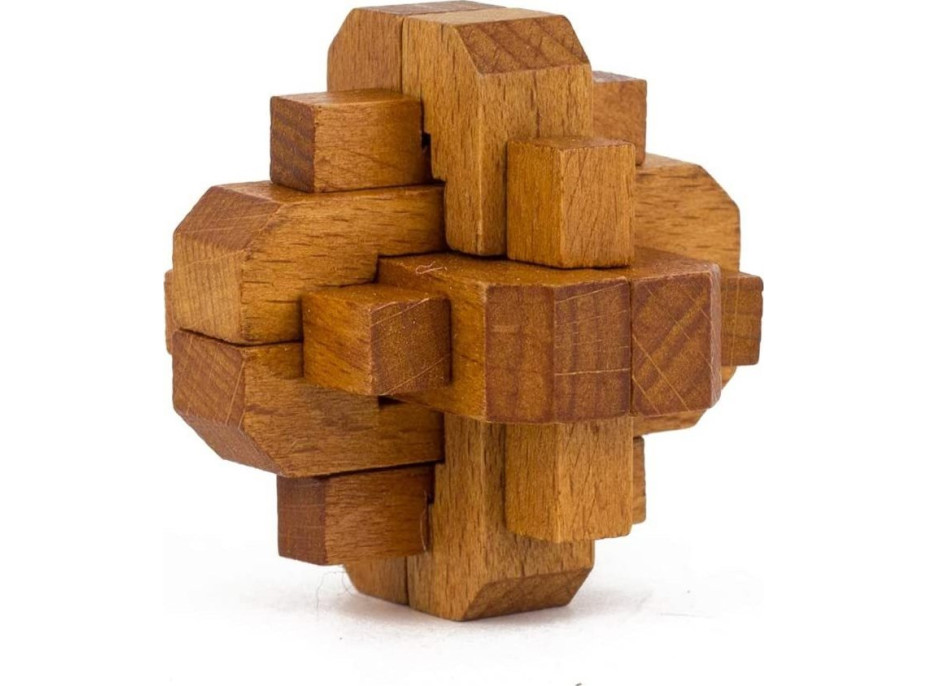 PROFESOR PUZZLE Great Minds: Slávne ženy 5v1