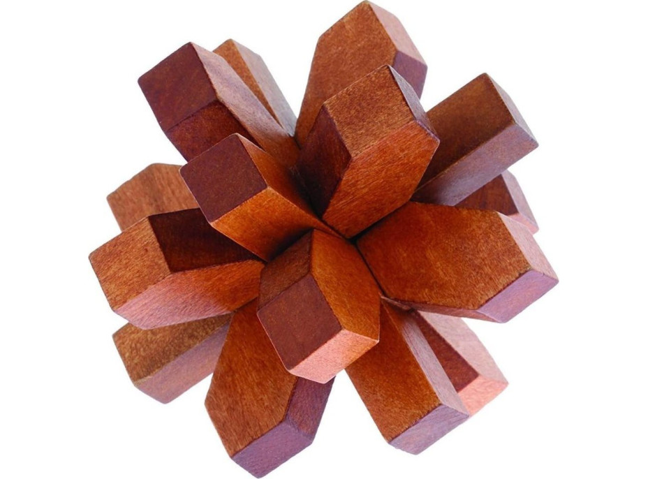 PROFESOR PUZZLE Great Minds: Slávni muži 3v1