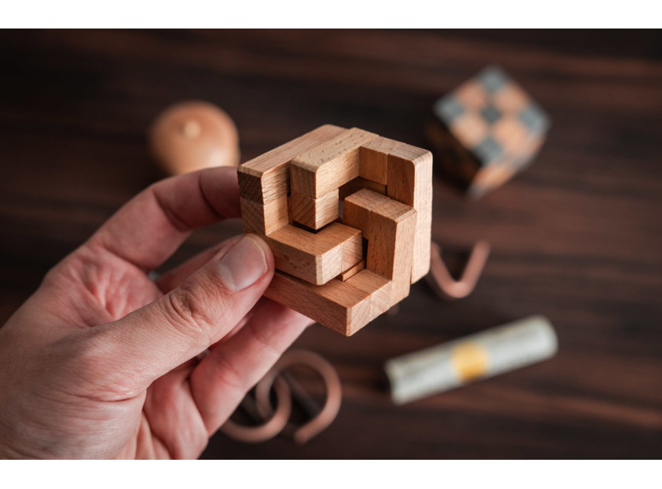 PROFESOR PUZZLE LOST&FOUND: Hlavolam Sedem divov sveta 7v1