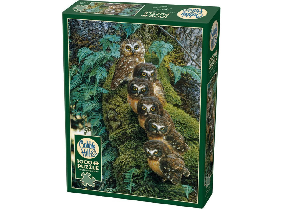 COBBLE HILL Puzzle Rodinný strom 1000 dielikov