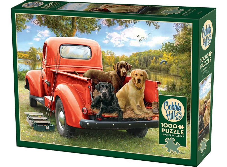 COBBLE HILL Puzzle Kamaráti na rybách 1000 dielikov