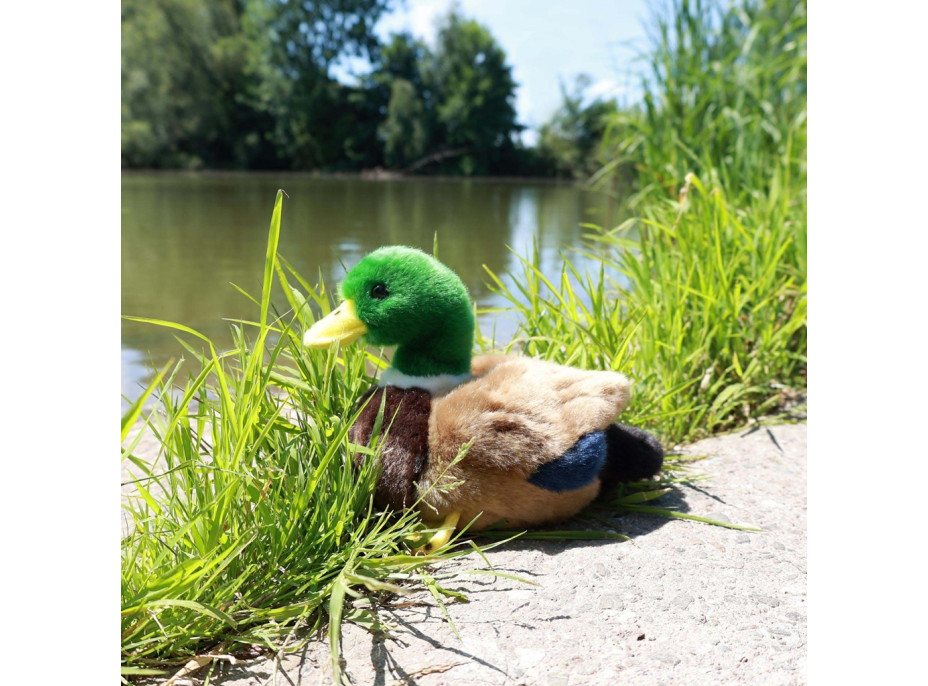 Rappa Plyšová kačica 20 cm ECO-FRIENDLY