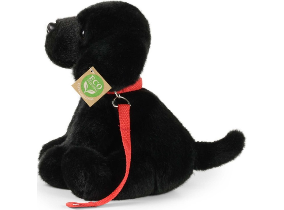 Rappa Plyšový pes labrador čierny s vodítkom 28 cm ECO-FRIENDLY