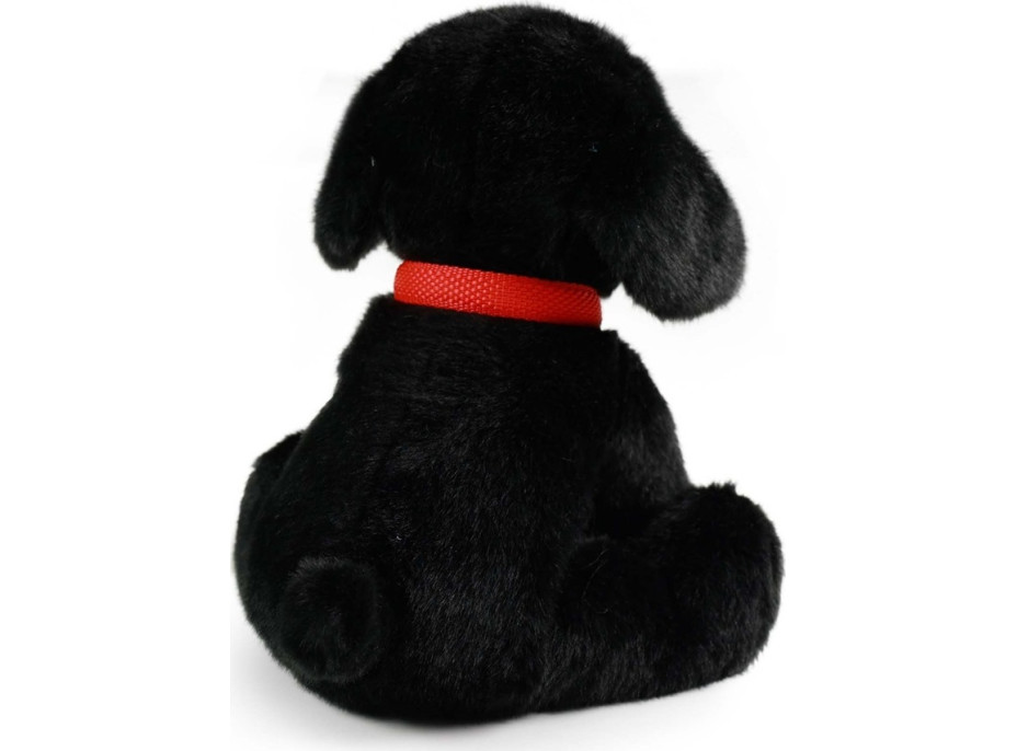 Rappa Plyšový pes labrador čierny s vodítkom 28 cm ECO-FRIENDLY