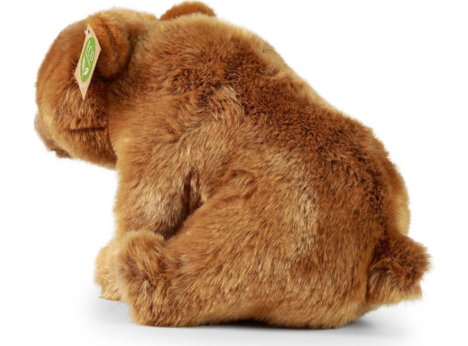 Rappa Plyšový medveď grizzly sediaci 30 cm ECO-FRIENDLY