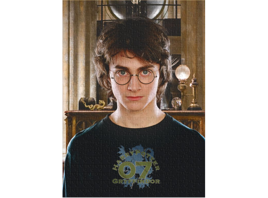 DODO Puzzle Harry Potter 450 dielikov