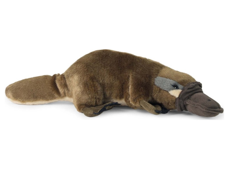 Rappa Plyšový vtákopysk 30 cm ECO-FRIENDLY