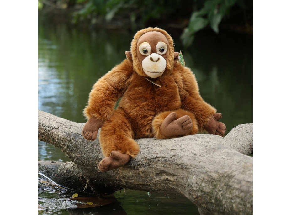 Rappa Plyšová opica orangutan 27 cm ECO-FRIENDLY