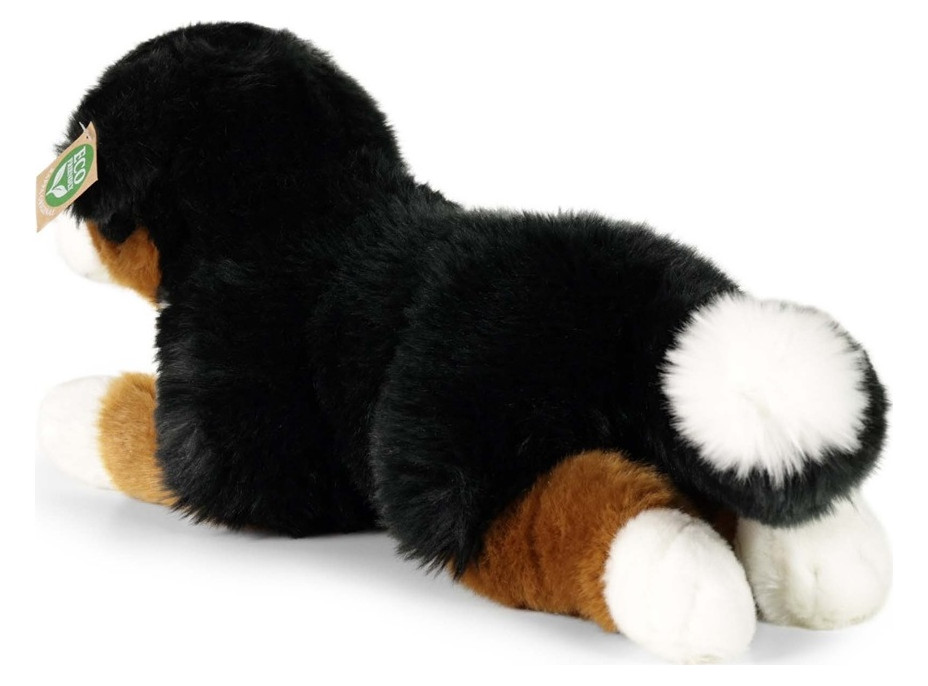 Rappa Plyšový pes bernský salašnícky ležiaci 44 cm ECO-FRIENDLY