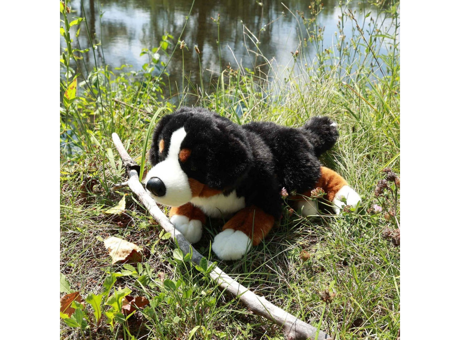 Rappa Plyšový pes bernský salašnícky ležiaci 44 cm ECO-FRIENDLY