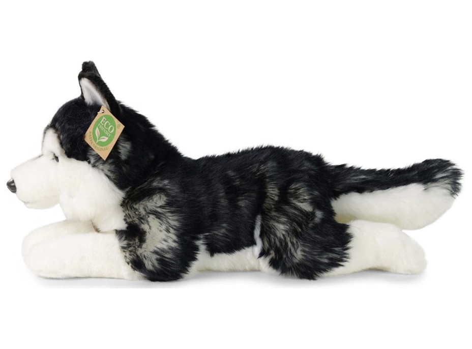 Rappa Plyšový pes husky 36 cm ECO-FRIENDLY