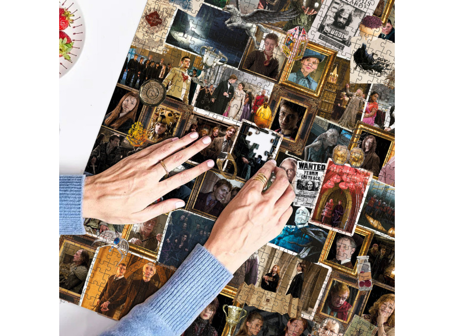 DODO Puzzle Harry Potter: Zaujímavé momenty 1000 dielikov