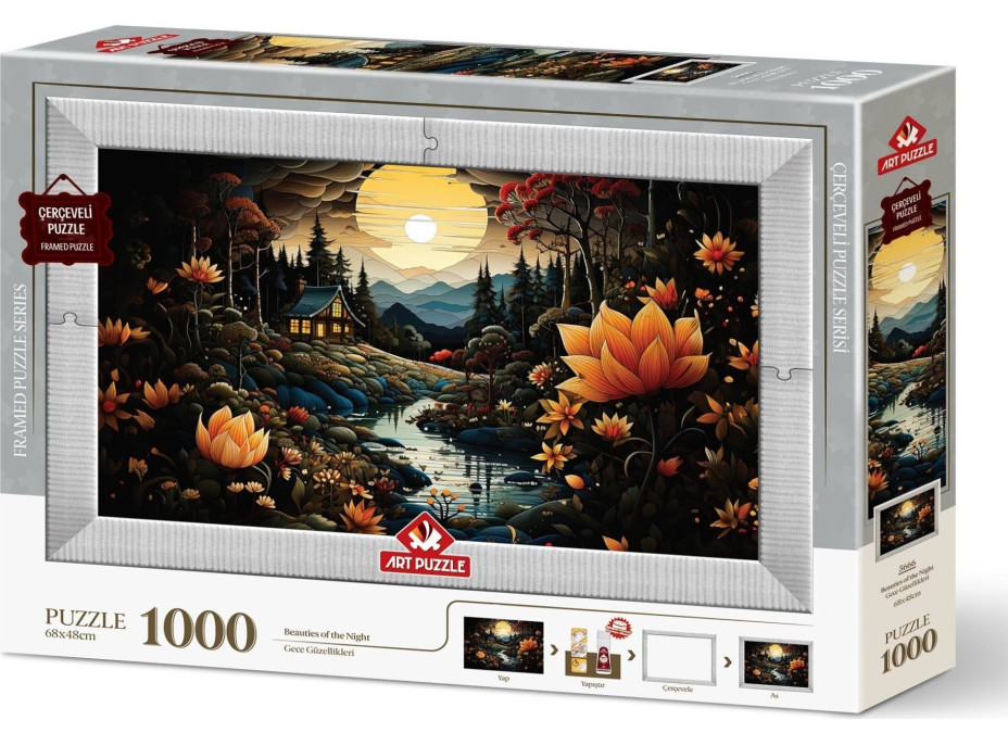 ART PUZZLE Puzzle s rámom a lepidlom 3v1 Nočné krásky 1000 dielikov