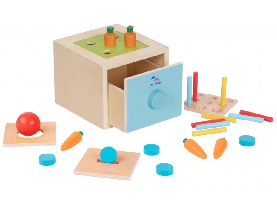 2Kids Toys Multifunkčné vhadzovanie