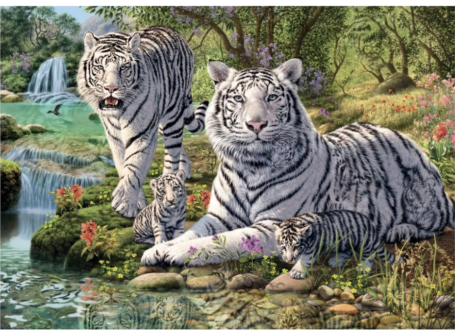 DINO Puzzle Secret Collection: Bieli tigre 1000 dielikov