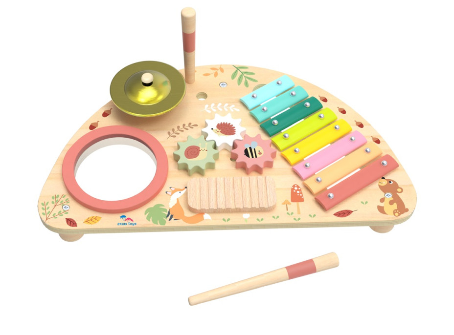 2Kids Toys Multifunkčná hudobná doska