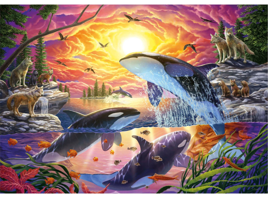 EDUCA Puzzle Kosatky a vlci 4000 dielikov
