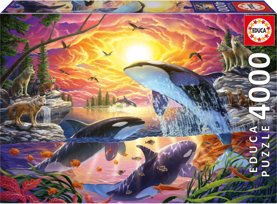 EDUCA Puzzle Kosatky a vlci 4000 dielikov