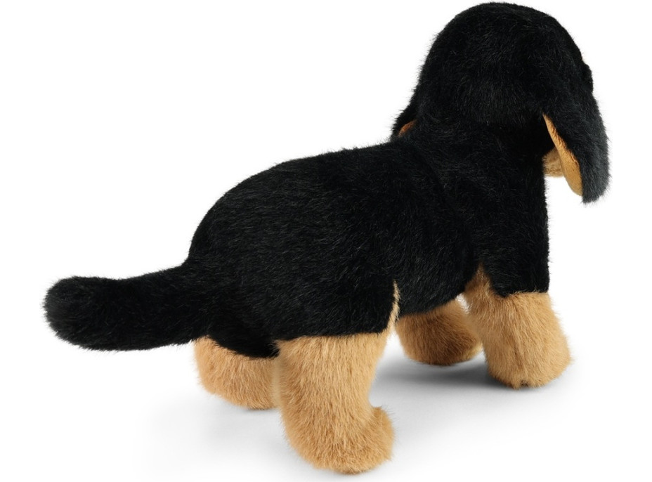 Rappa Plyšový pes jazvečík 23 cm SOFT COLLECTION, ECO-FRIENDLY