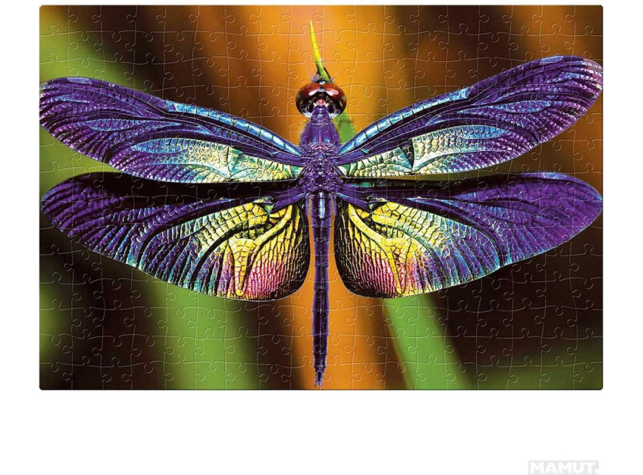 INTERDRUK Puzzle Colorful Nature: Vážka 250 dielikov