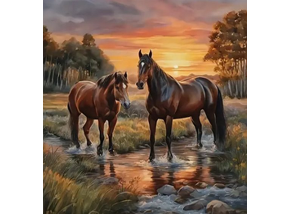 NORIMPEX Diamantové maľovanie Kone v rieke 30x40cm