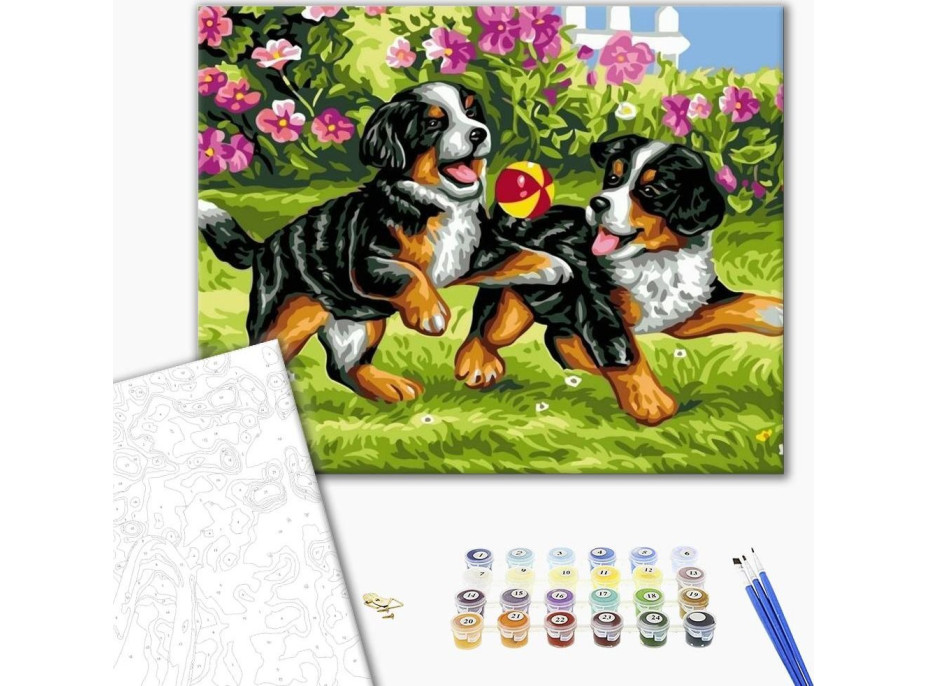 NORIMPEX Maľovanie podľa čísel: Šteniatka, plátno na ráme 40x50 cm