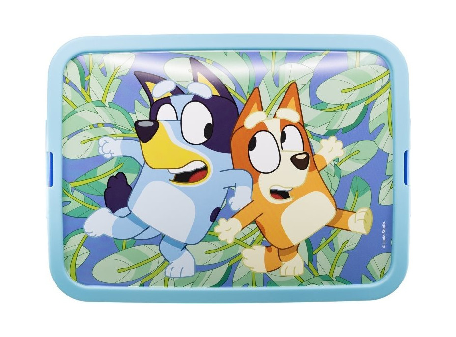 STOR Úložný box 23l Bluey