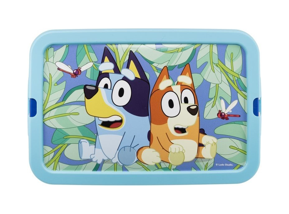 STOR Úložný box 7l Bluey