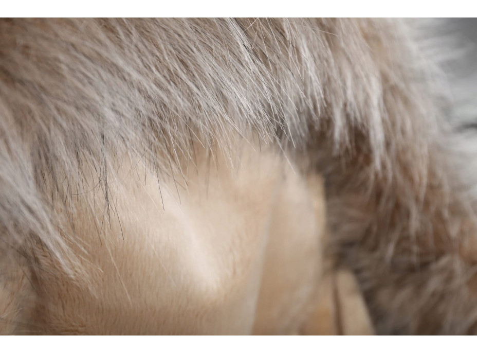 Detský fusak do kočíka BABYMAM Premium - svetlo béžový