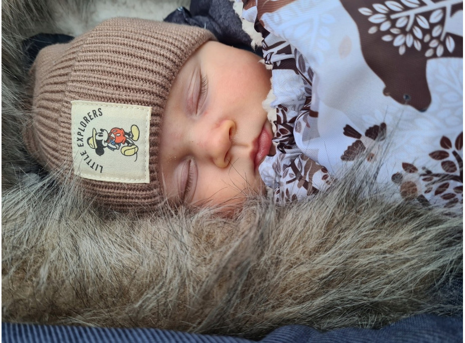 Detský fusak do kočíka BABYMAM Premium - Zimný les/baránok ecru