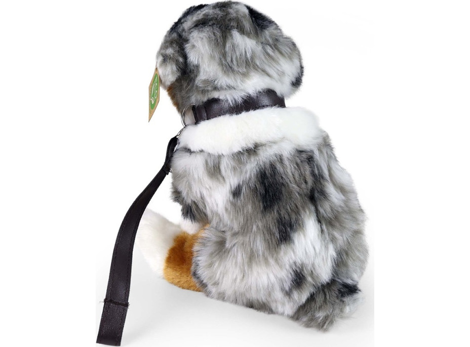 Rappa Plyšový pes austrálsky ovčiak sediaci 27 cm ECO-FRIENDLY