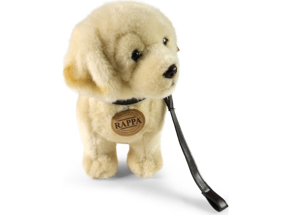 Rappa Plyšový pes zlatý retriever stojaci s vodítkom 25 cm ECO-FRIENDLY