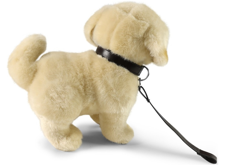 Rappa Plyšový pes zlatý retriever stojaci s vodítkom 25 cm ECO-FRIENDLY