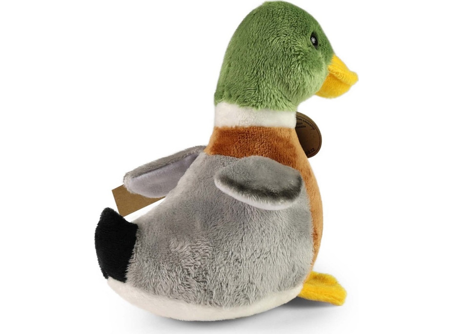 Rappa Plyšová kačica divá 22 cm ECO-FRIENDLY