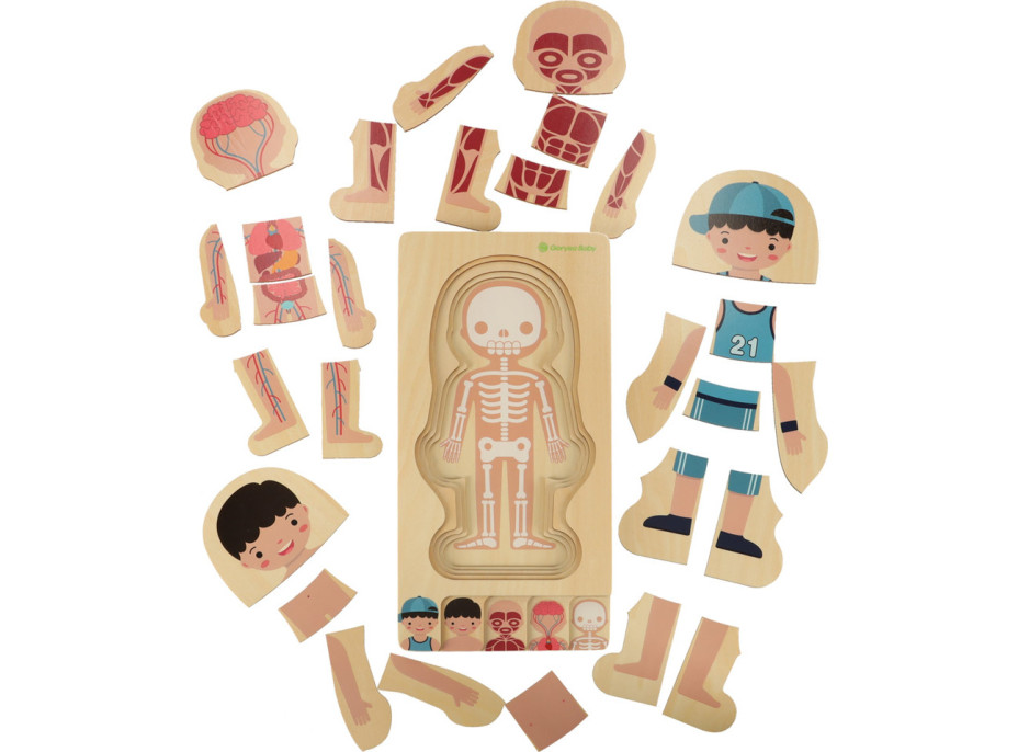 Drevené vrstvené Montessori puzzle Telo - chlapec