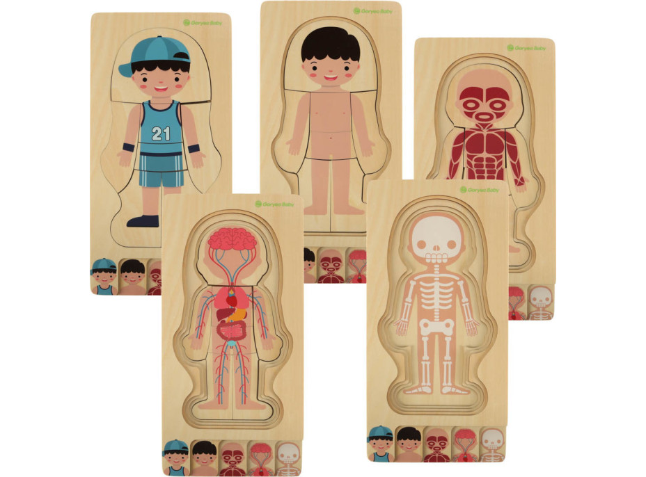 Drevené vrstvené Montessori puzzle Telo - chlapec